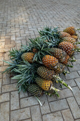 Ripe pineapples at the local farmer's market, lying in a pile on the floor - 720716506