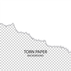 diagonal torn paper edge. Ripped squared horizontal white paper strips. Vector illustration