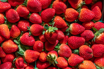 Strawberries