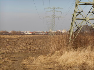 Field landscape and electric poles