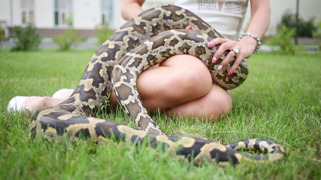 Spotty snake crawling on legs of woman sitting on grass near buildings