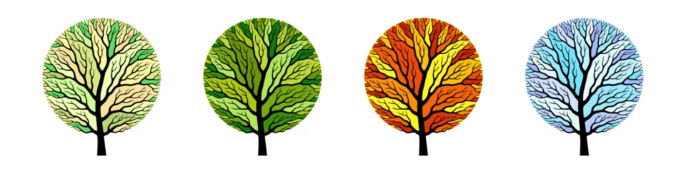 Fotobehang Trees shaped like circles in seasonal specific colors © Elena Abrazhevich