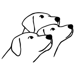 Dogs Looking Up