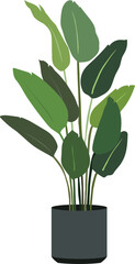 Birds of Paradise Plant Minimal Cutout Flat Vector Illustration