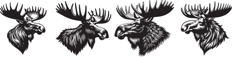 moose black and white vector graphics set - obrazy, fototapety, plakaty