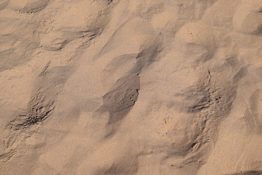 texture of beach sand in summer or spring sun. Beach sand dune for summer  background. 