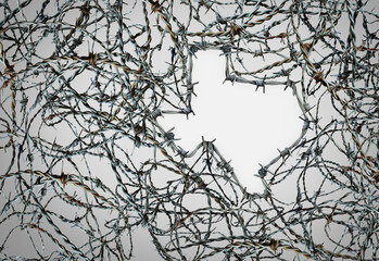 Texas Border Security Issues as razor wire or barbed wires representing the Texan state as a US...