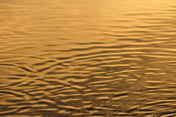 Illuminated Golden Ripple Effects in Lake Water at Sunrise or Sunset w/ Warm Metallic Spa Feeling (filtered photo) -Spa Like Feeling Border, Background, Backdrop, Wallpaper, Publications