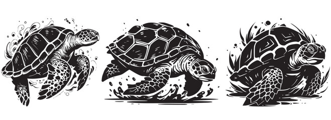 Sea turtles, decorative black and white vector graphics - obrazy, fototapety, plakaty