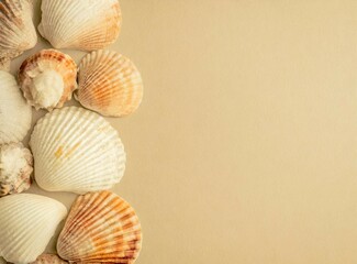 Seashells summer background w/ copy sace