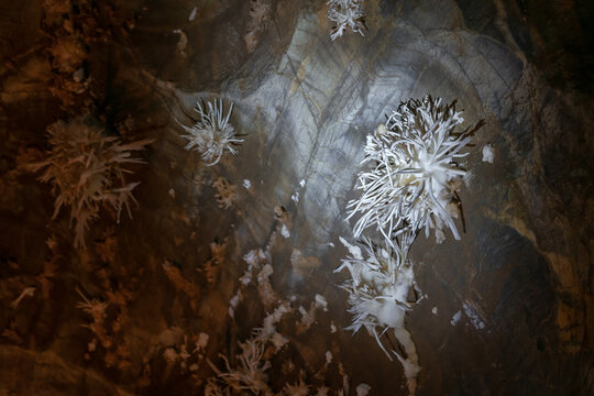 Unique aragonite minerals in the rare Ochtinsk&aacute; Aragonite cave in Slovakia