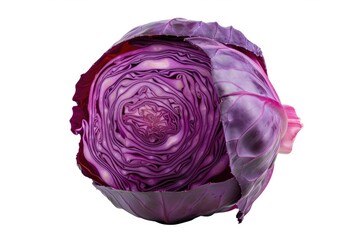 A detailed view of a purple cabbage against a clean white background. Perfect for food and nutrition-related projects