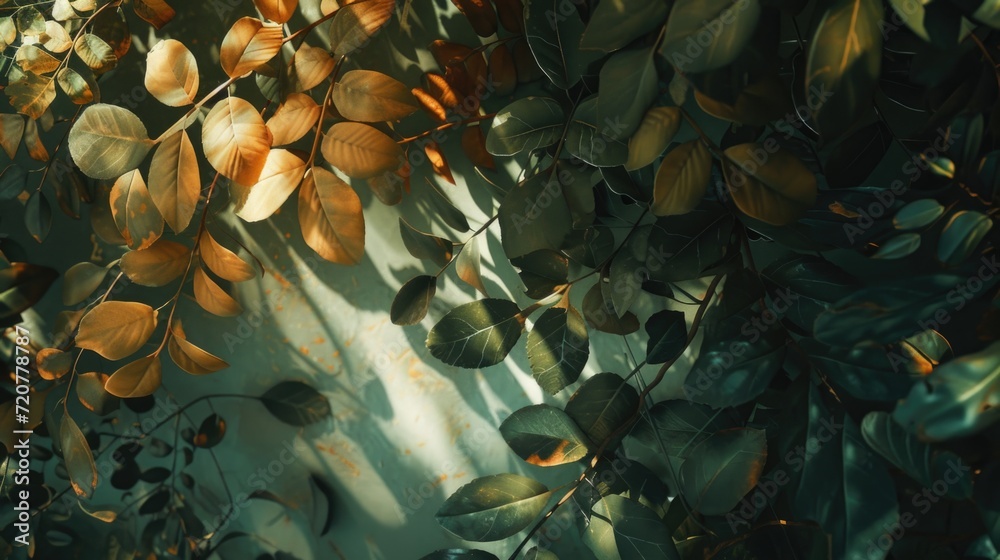Poster A close up view of a bunch of leaves on a wall. Perfect for adding a touch of nature to any design project