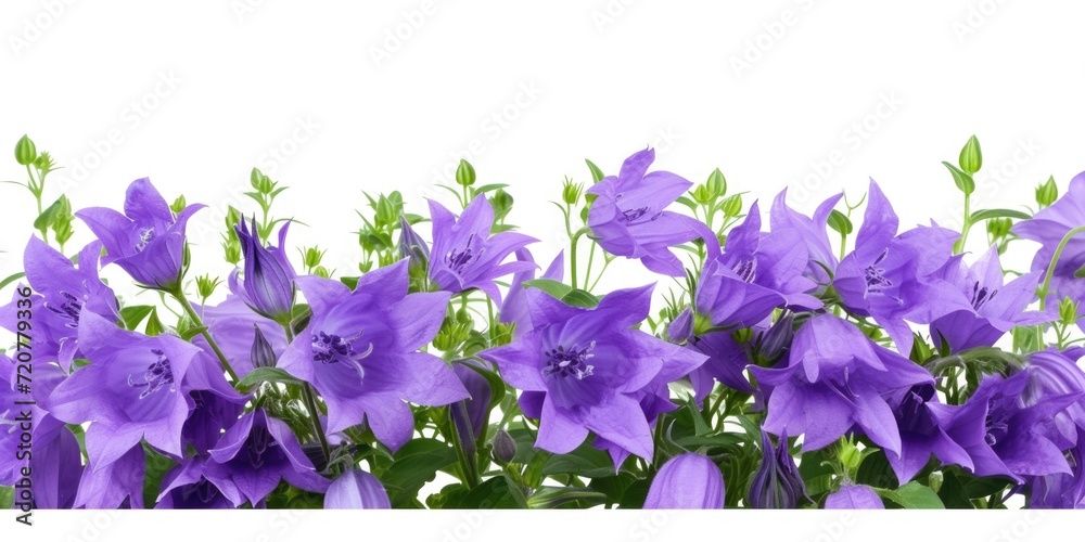 Aufkleber a bunch of purple flowers arranged in a vase. perfect for adding a pop of color to any space