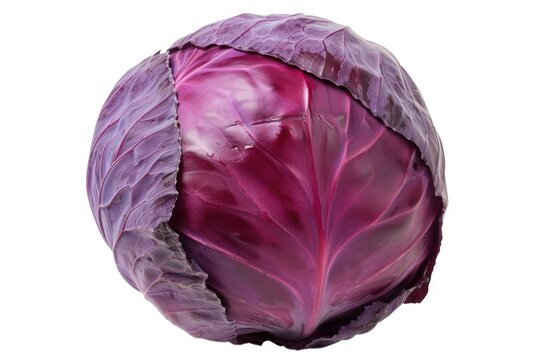 A detailed view of a purple cabbage against a plain white background. This image can be used for various purposes