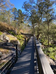 Wooden bridge in the forest. Footpath in the wood. Forest trail, walkways and hiking trail in a park.
