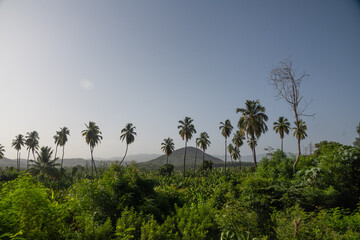 caribbean view