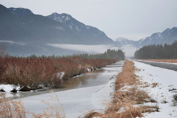 Looking down a ditch along Rannie Road near the Grant Narrows Regional Park and Pitt River Dike...