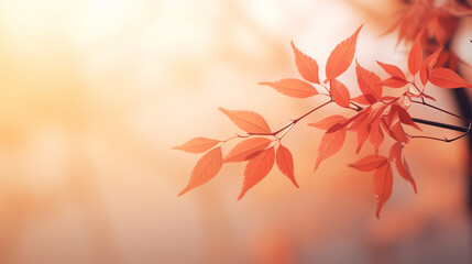 Red japanese leaves in the sun, blur background, soft focus, light gold and light amber, joyful celebration of nature