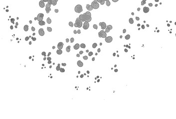 Light Silver, Gray vector background with liquid shapes.
