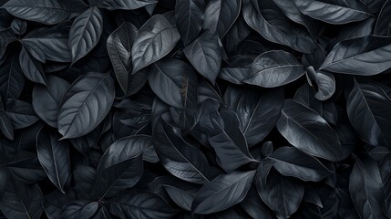 Black abstract leaf textures tropical leaves background. generative ai - obrazy, fototapety, plakaty