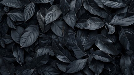 Black abstract leaf textures tropical leaves background. generative ai