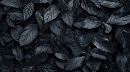 Foto op Aluminium Black abstract leaf textures tropical leaves background. generative ai © Kelly