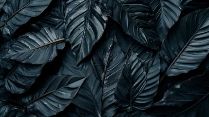Poster Black abstract leaf textures tropical leaves background. generative ai © Kelly