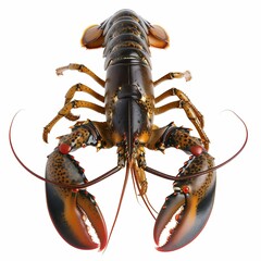 Lobster Displaying Vibrant Claws on White Background. Generative ai