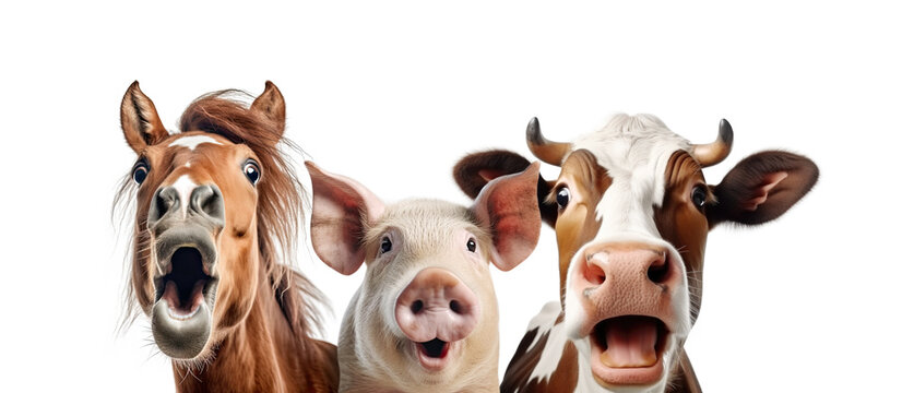 Portrait of Three Surprised Farm Animals (Horse, Pig, Cow) Isolated on White Background
