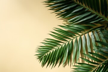 Minimal Summer Concept with Green Tropical Leaves and Palm Tree Shadow on Sand Color Background AI Generated