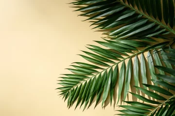 Fotobehang Minimal Summer Concept with Green Tropical Leaves and Palm Tree Shadow on Sand Color Background AI Generated © Alex