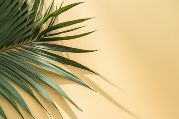 Minimal Summer Concept with Green Tropical Leaves and Palm Tree Shadow on Sand Color Background AI Generated