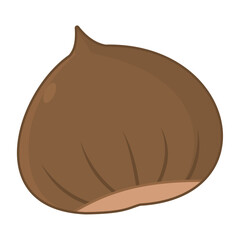 Chestnut vector illustration isolated on white background