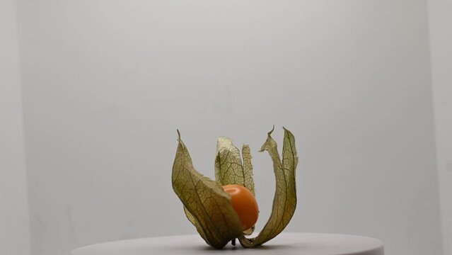 Ripe physalis ready to eat upright exotic fruit with pectin rotate