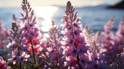Decommissioned Lighthouse with Lupines in the Sunlight AI Generated - obrazy, fototapety, plakaty