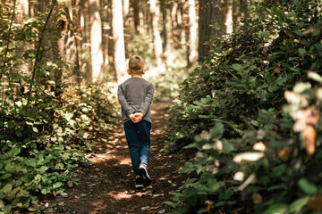 Naklejka na ściany i meble child walking in the forest