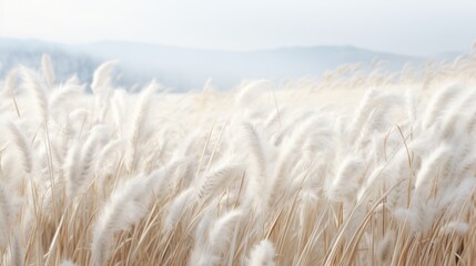 Whispering Winter: Vast Fields of Wheat Turned Sea of White AI Generated - obrazy, fototapety, plakaty