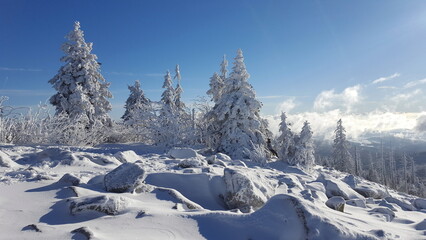 Fototapeta na wymiar Bavarian forest Lusen snow on trees winter