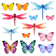 Colourful butterflies and dragonflies, Watercolour illustration art element set