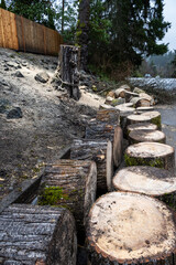Residential tree removal, cottonwood tree cut down in a side yard with stump remaining, rounds and branches on the street