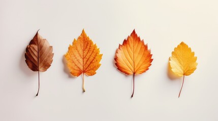 Autumn leaves isolated on white background. Fall concept. Flat lay, top view Generative AI