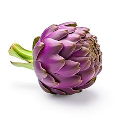 Fototapeta premium Artichoke isolated on a white background