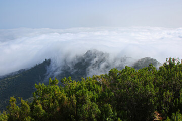 View over the clouds from the Pico Ruivo, the highest mountain peak on Madeira island, Portugal - Heathland on dry slopes in the Atlantic Ocean