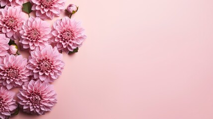 Pink dahlia flowers on a pink background. Place for your text. Generative AI