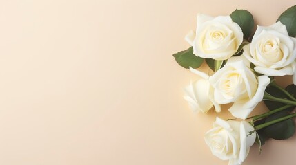 Obraz na płótnie Canvas White roses on beige background. Flat lay, top view, copy space Generative AI