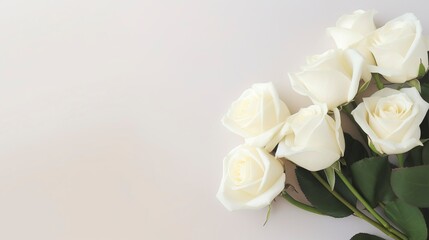Obraz na płótnie Canvas White roses on white background. Flat lay, top view. Valentine's day concept. Generative AI