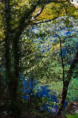 Jaranda river, Extremadura, Spain