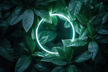 Green Circle Surrounded by Leaves in a Forest