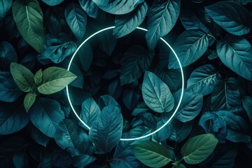 Circle Surrounded by Green Leaves